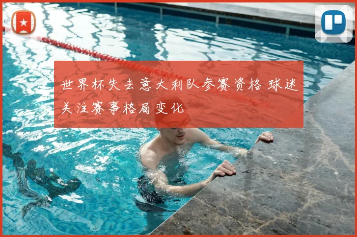 世界杯失去意大利队参赛资格 球迷关注赛事格局变化