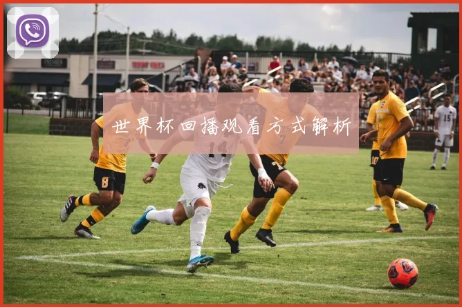 世界杯回播观看方式解析