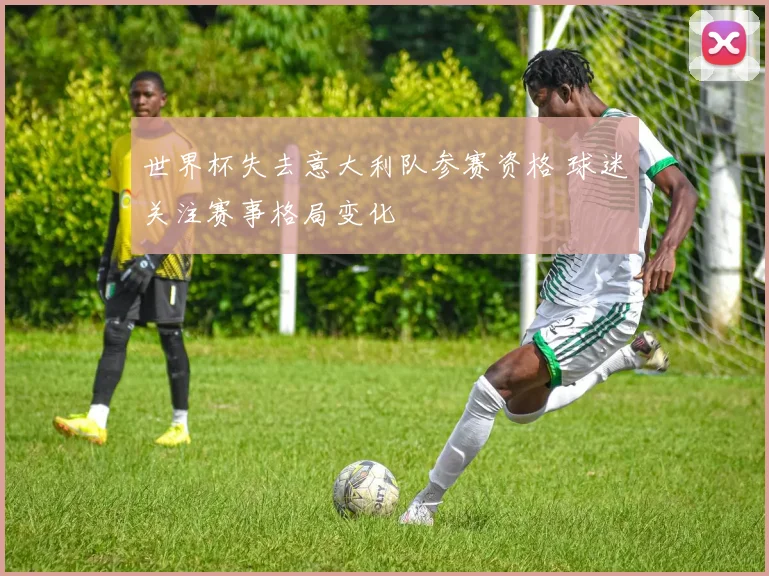世界杯失去意大利队参赛资格 球迷关注赛事格局变化