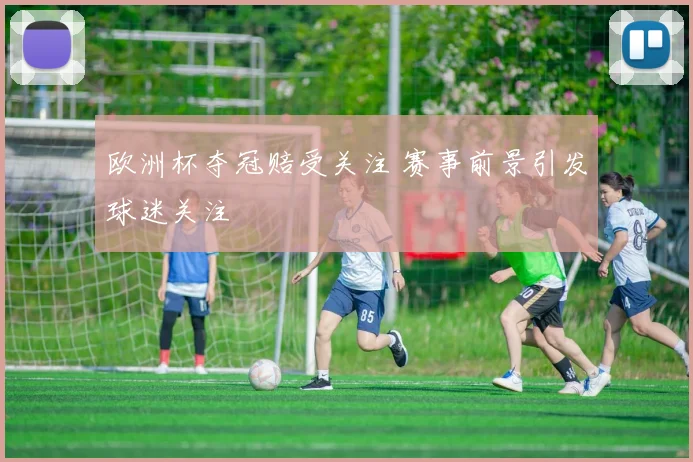欧洲杯夺冠赔受关注 赛事前景引发球迷关注