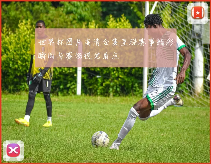 世界杯图片高清合集呈现赛事精彩瞬间与赛场视觉看点